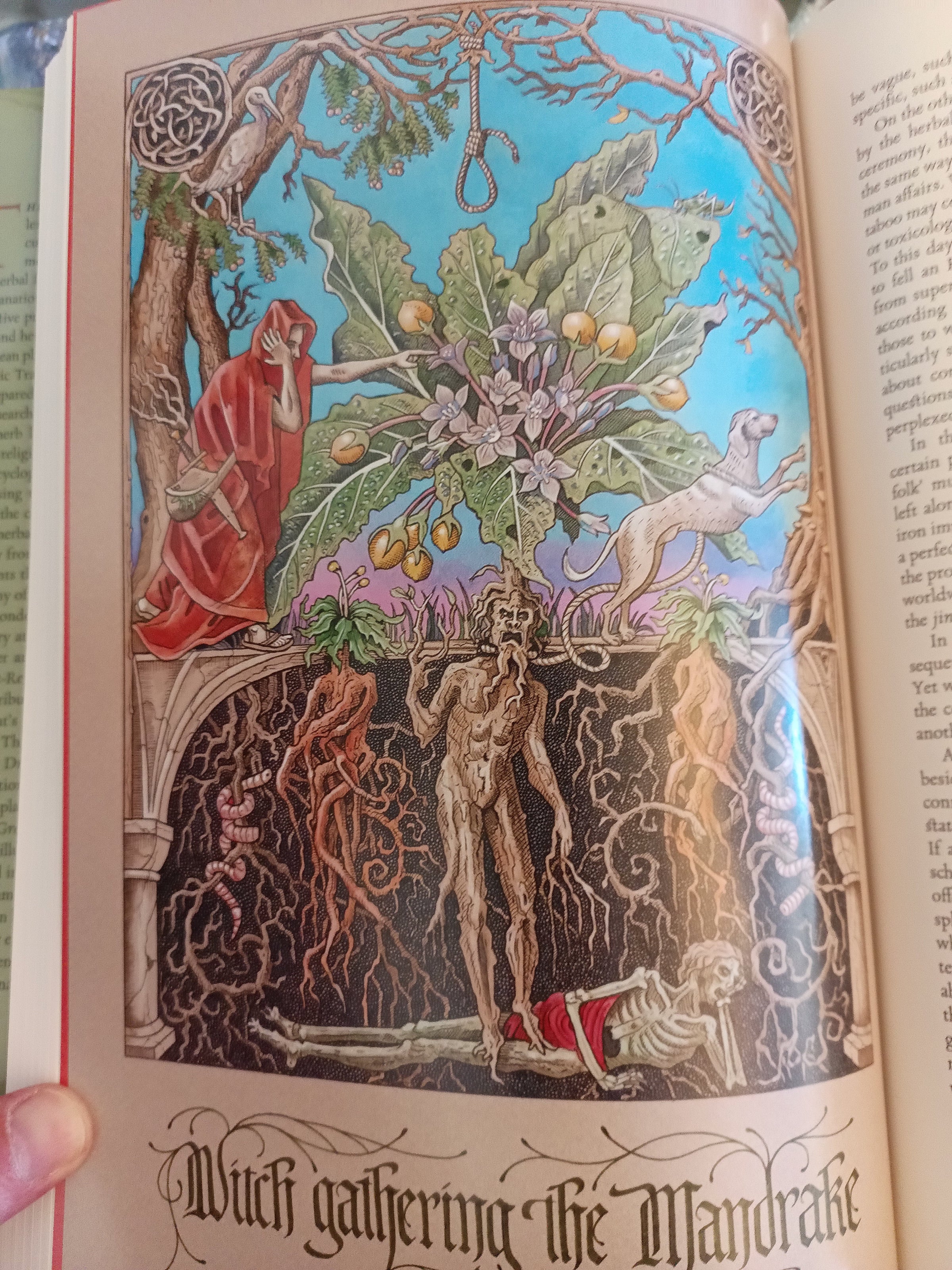 Green mysteries | Celestial Rites